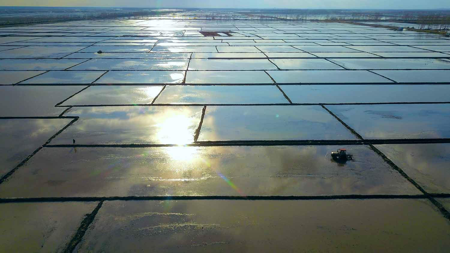 北大荒股份八五六分公司抢抓有利时机每天调动1200多台机械投入水田整地，截止目前，近百万亩水田整地已基本完成。【黄永兴 倪崇海 摄】.jpg